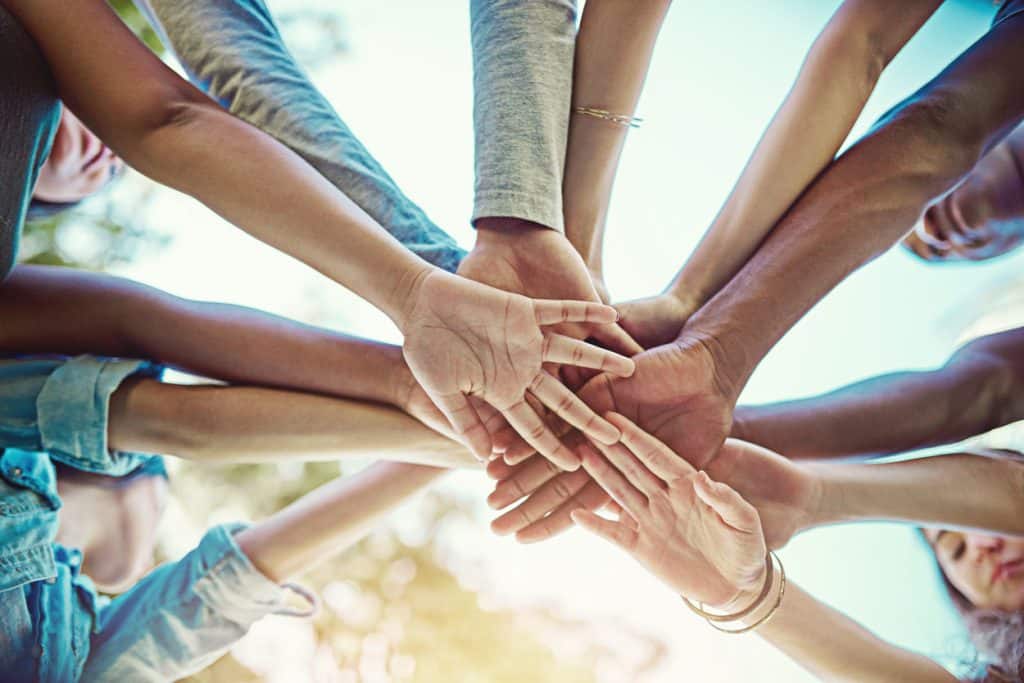 The Align Framework™ Program Options